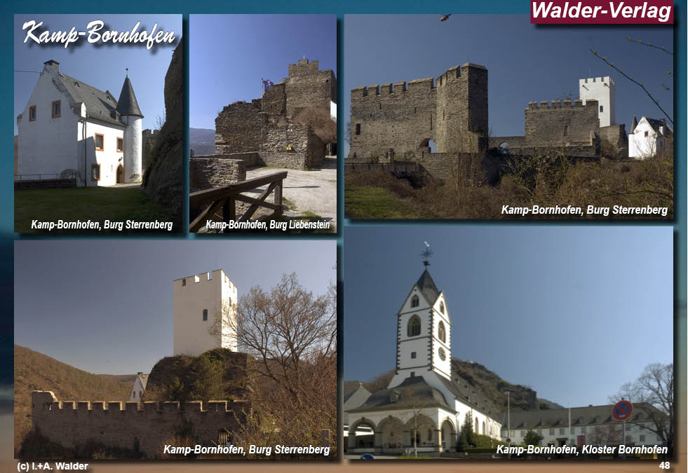 Reiseführer Taunus - Rheingau