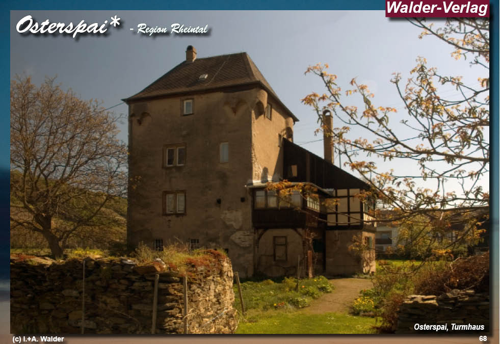 Reiseführer Taunus - Rheingau