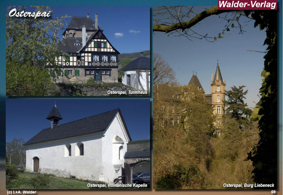 Reiseführer Taunus - Rheingau