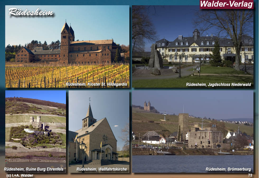 Reiseführer Taunus - Rheingau