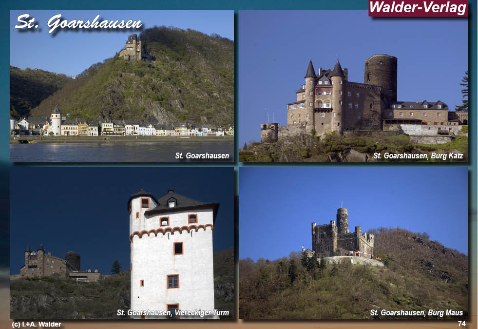 Reiseführer Taunus - Rheingau