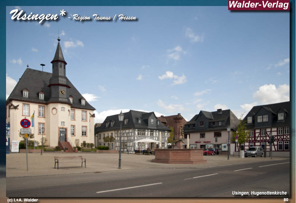 Reiseführer Taunus - Rheingau