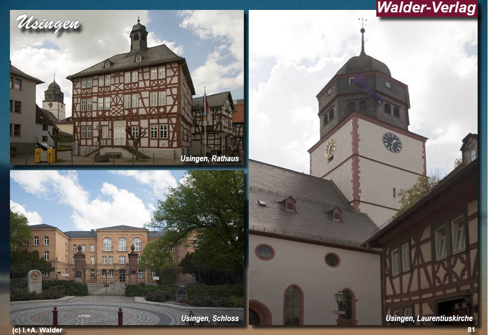 Reiseführer Taunus - Rheingau