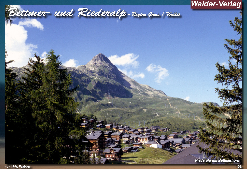 Reiseführer Glacier Express