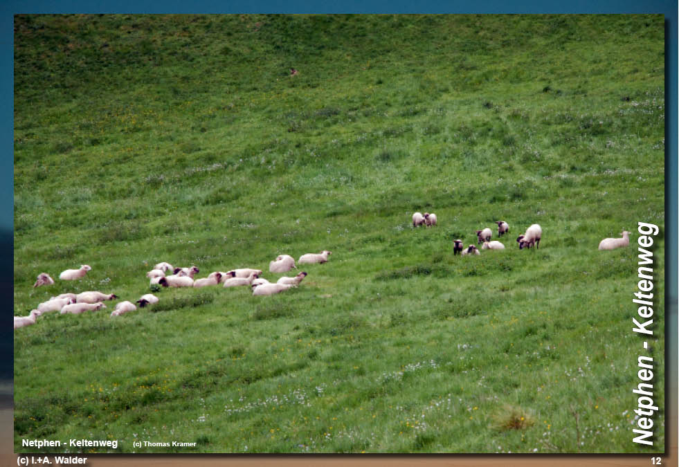 Walder-Verlag Reisetipps-Europa Wanderführer Netphener Keltenweg
