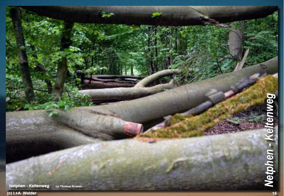 Walder-Verlag Reisetipps-Europa Wanderführer Netphener Keltenweg