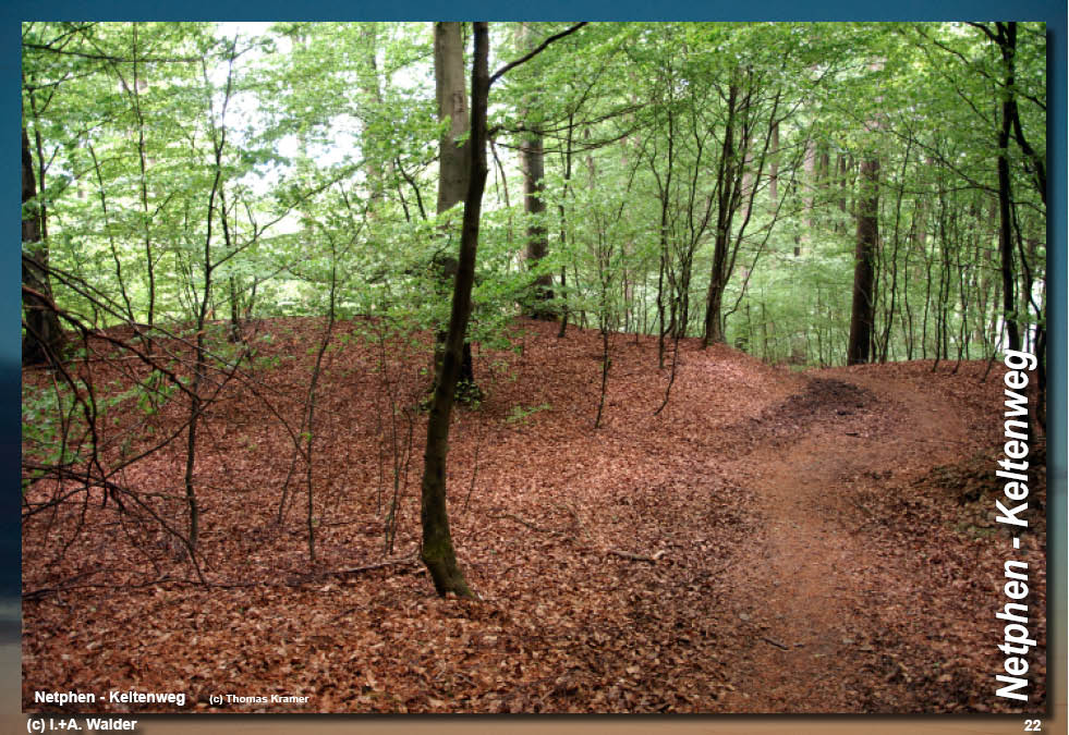 Walder-Verlag Reisetipps-Europa Wanderführer Netphener Keltenweg