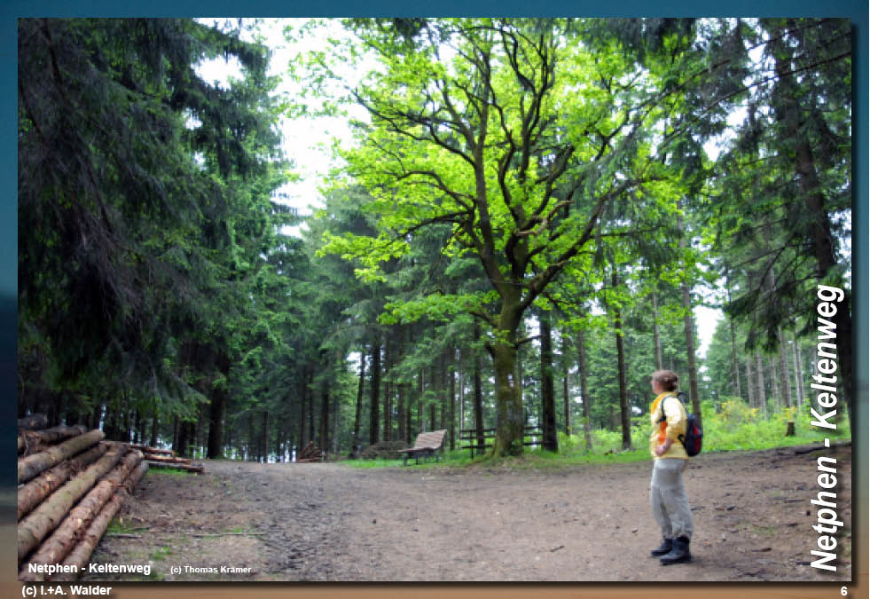 Walder-Verlag Reisetipps-Europa Wanderführer Netphener Keltenweg