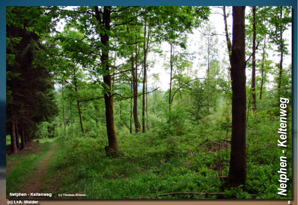 Walder-Verlag Reisetipps-Europa Wanderführer Netphener Keltenweg