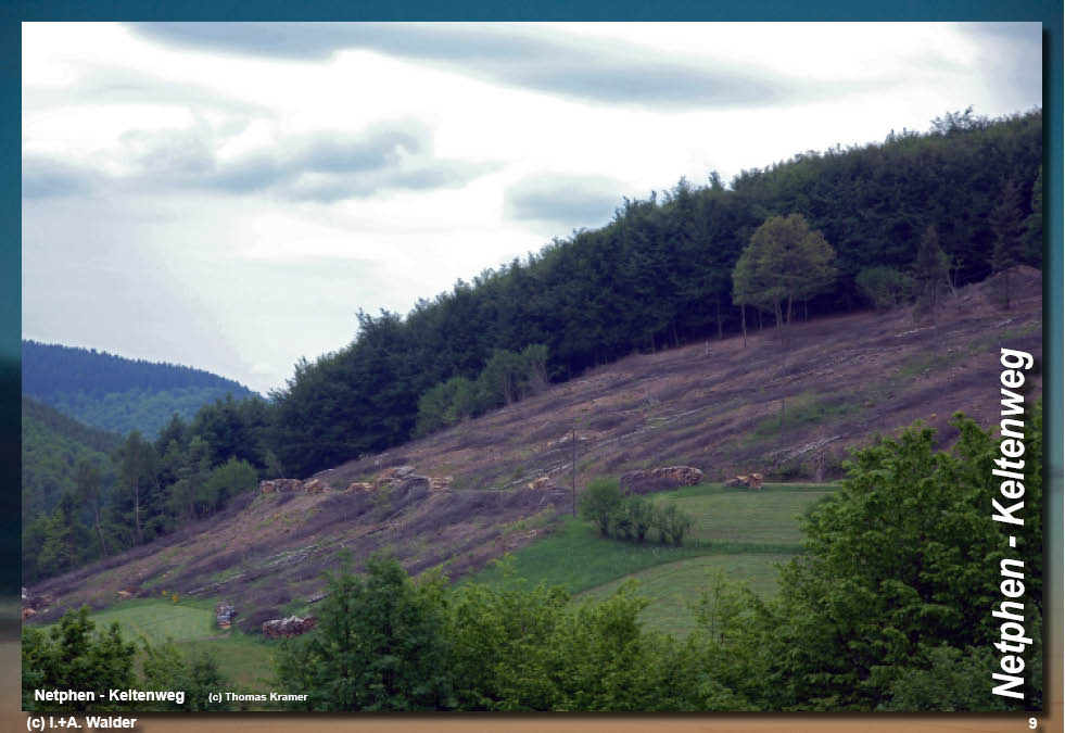 Walder-Verlag Reisetipps-Europa Wanderführer Netphener Keltenweg