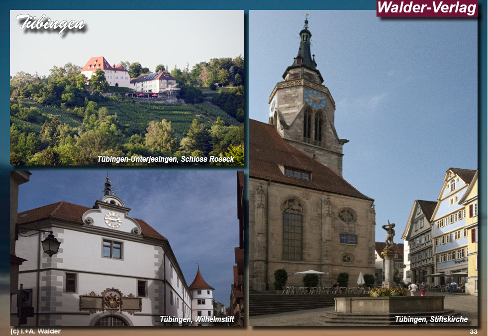 Reiseführer Deutsche Alleenstraße - Tübingen