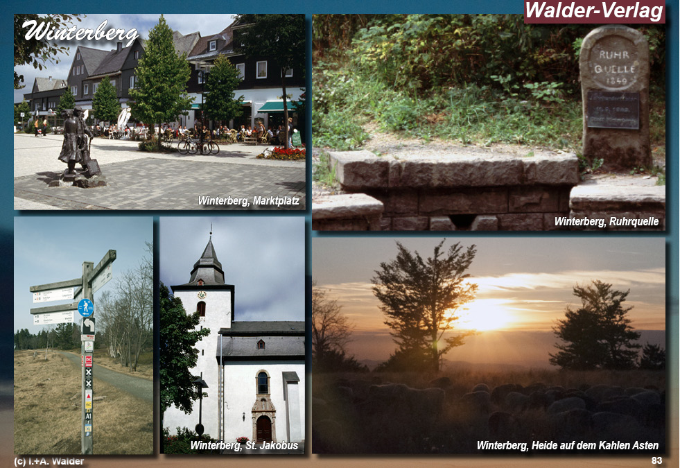 Reiseführer Winterberg - Region Sauerland