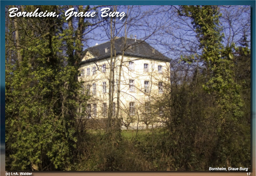 Reiseführer Burgen und Schlösser in der Region Bonn - Bornheim, Graue Burg