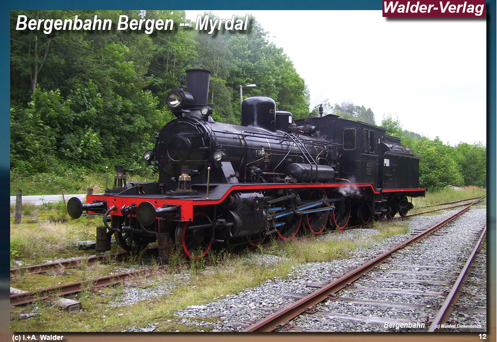 Bergenbahn - Norwegen