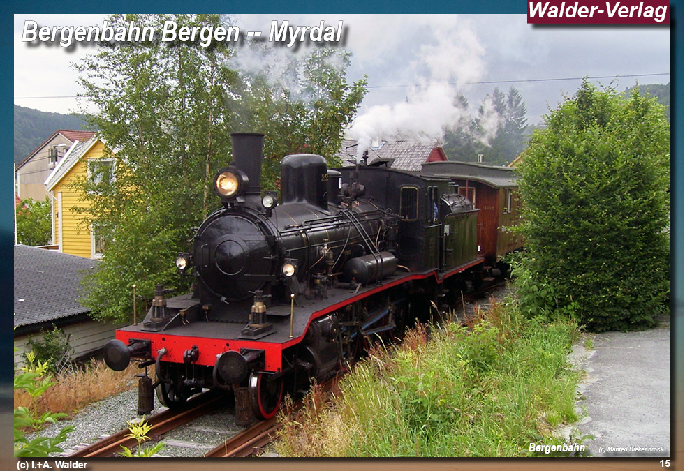 Bergenbahn - Norwegen