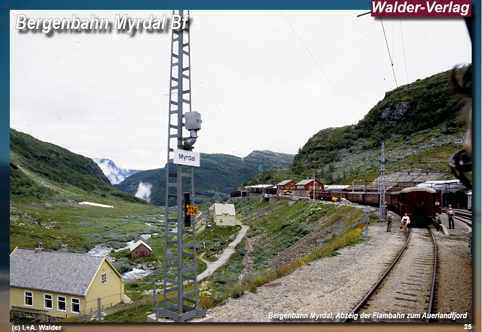 Bergenbahn - Norwegen