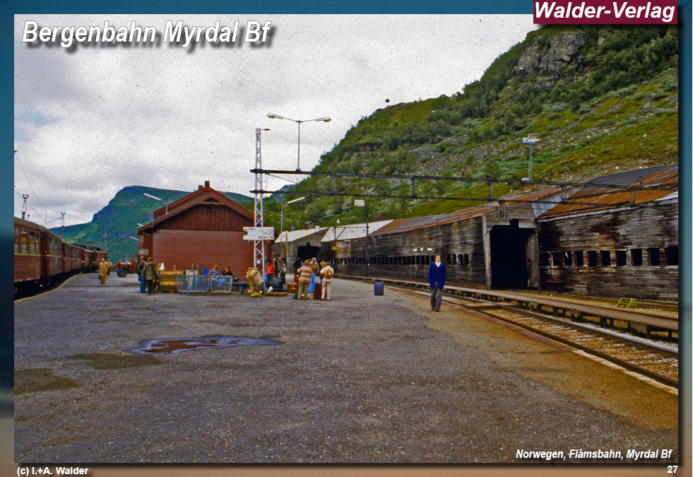 Bergenbahn - Norwegen