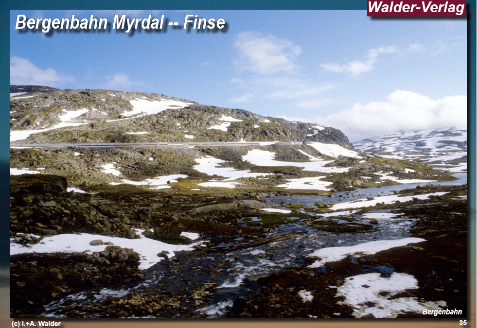 Bergenbahn - Norwegen