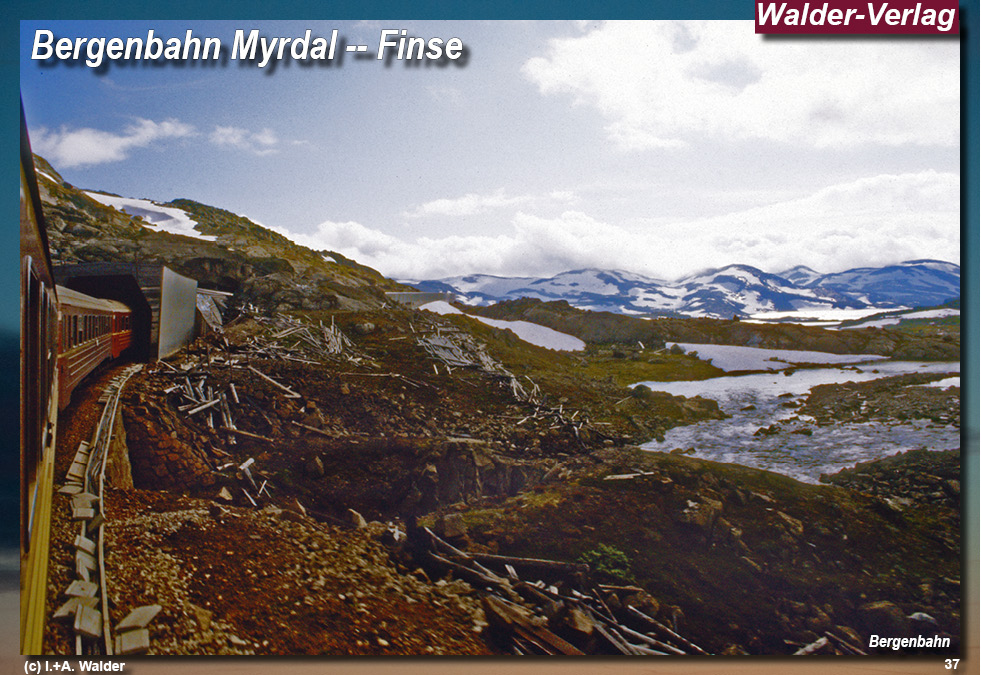 Bergenbahn - Norwegen