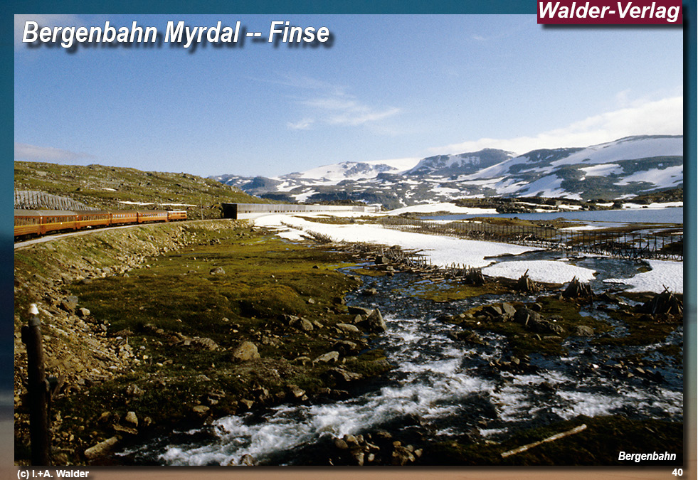 Bergenbahn - Norwegen