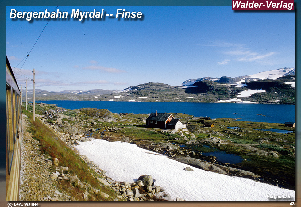 Bergenbahn - Norwegen