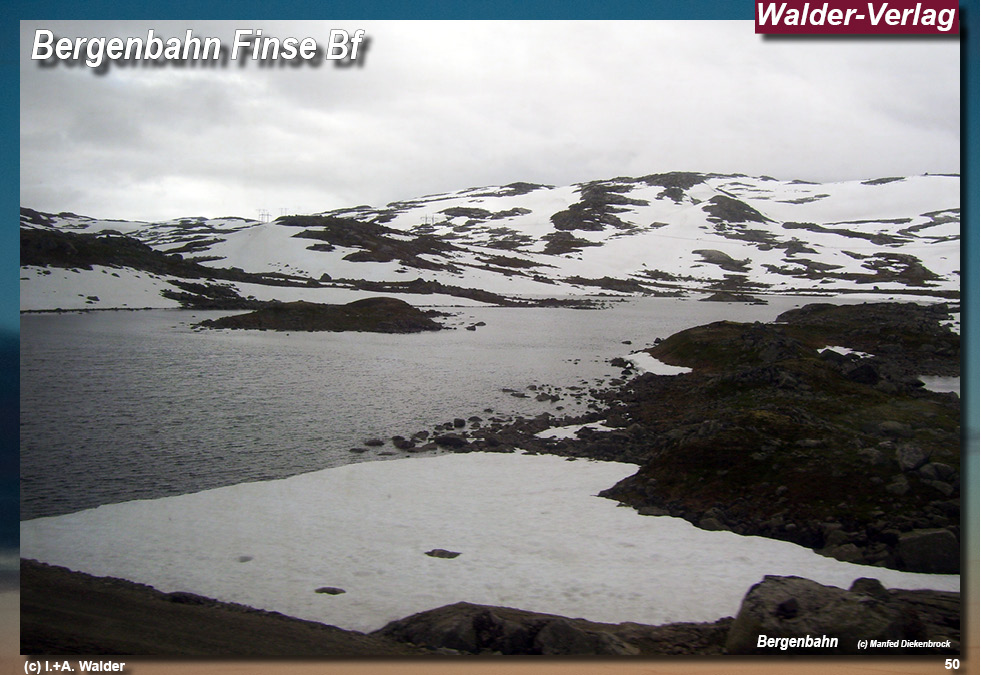 Bergenbahn - Norwegen