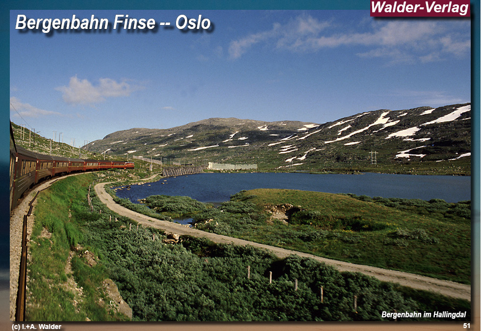 Bergenbahn - Norwegen