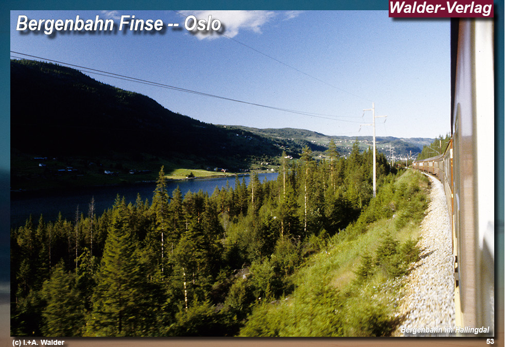 Bergenbahn - Norwegen