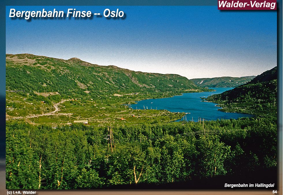 Bergenbahn - Norwegen