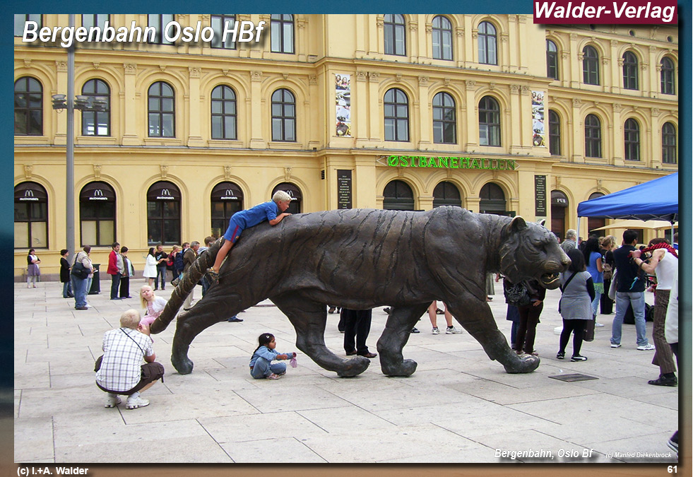 Bergenbahn - Norwegen