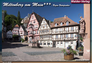 Reiseführer Deutsche Limes-Straße - Reiseführer Deutsche Limes-Straße