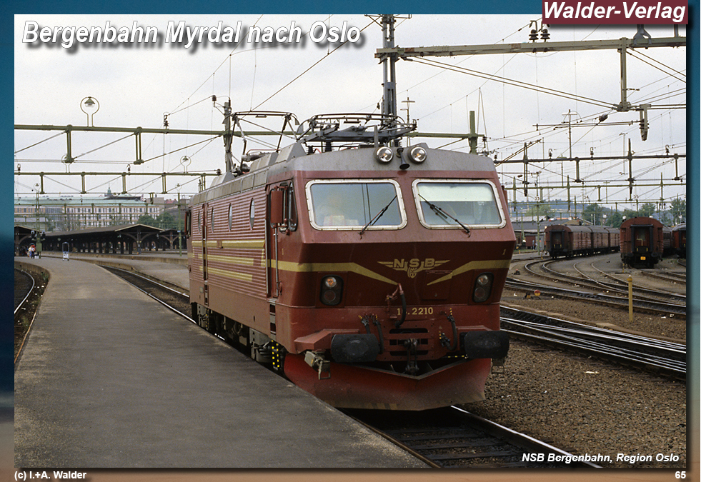Reiseführer Bahnreise durch Skandinavien - Bergenbahn Bergen -- Oslo